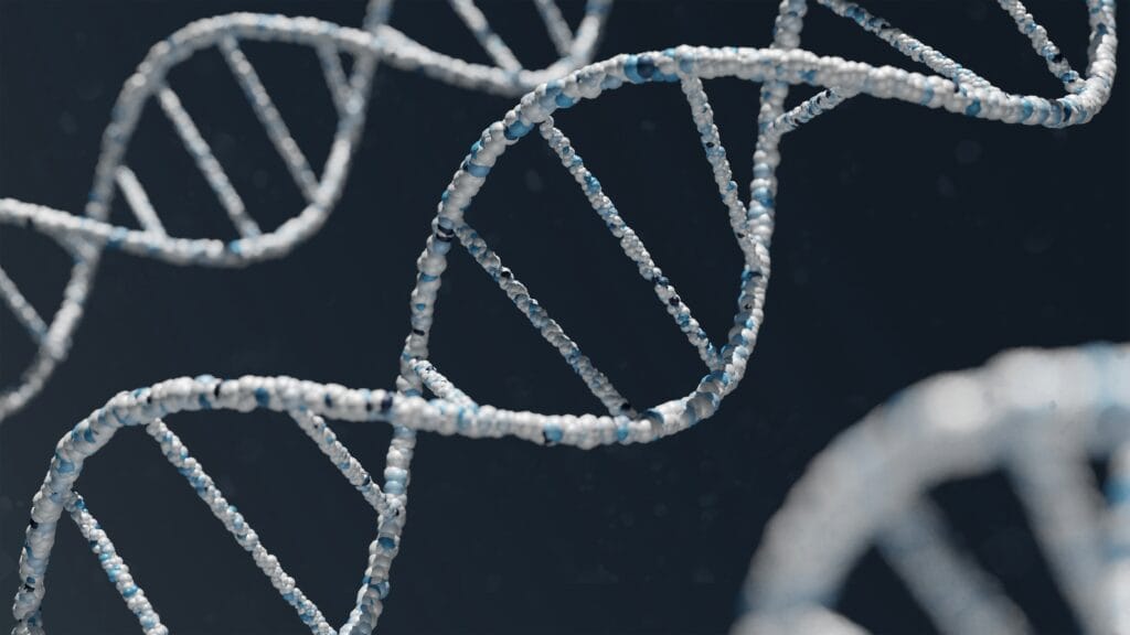 DNA Strand