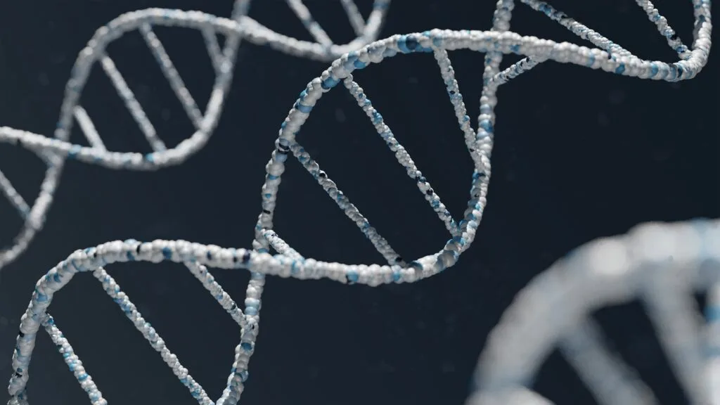 DNA Strand